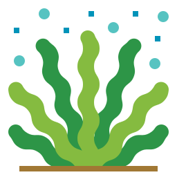 Seaweed icon