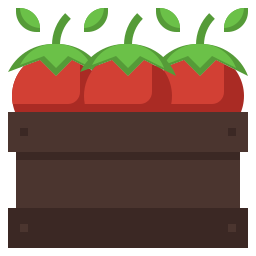 tomate icon