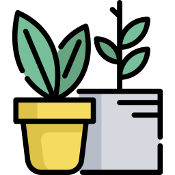 植物 icon