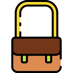 Woman bag icon