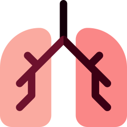 Lungs icon