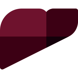 Liver icon