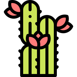 cactus icoon