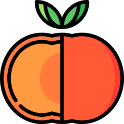 persimmon icon