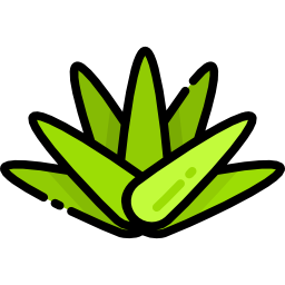 agave icon