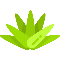 agave icon