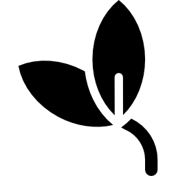 Leaves icon