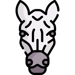 zebra Ícone