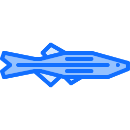 fisch icon