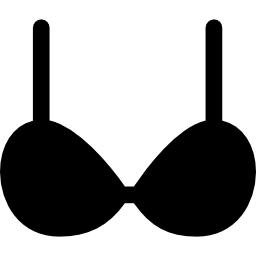 Brassiere icon