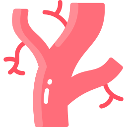 arterien icon