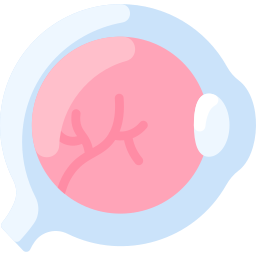 augapfel icon