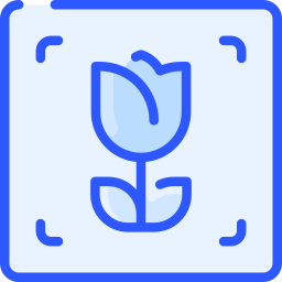 Macro icon