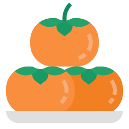 persimmon icon