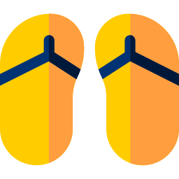 Flip flops icon