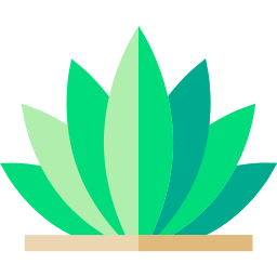 agave icon