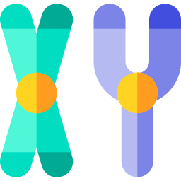 chromosom icon