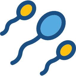 spermatozoon icon