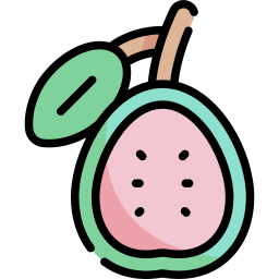 Guava icon