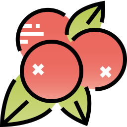 Cherries icon