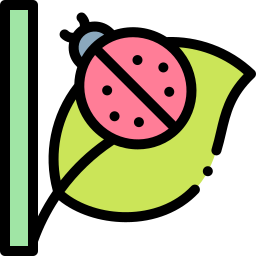 Ladybug icon