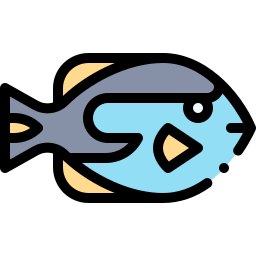 Surgeon fish icon