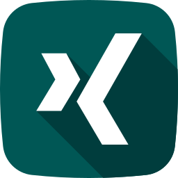 Xing icon