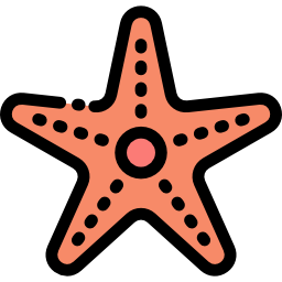 Starfish icon