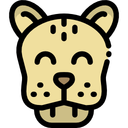 Cheetah icon