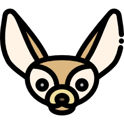 Fennec icon