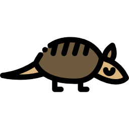 Armadillo icon