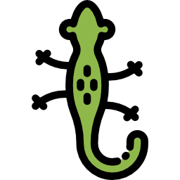 salamandra ikona