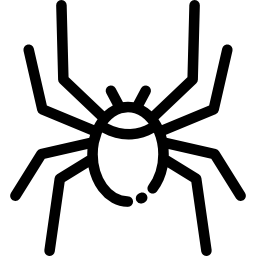 aranha Ícone