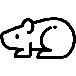 hamster icon