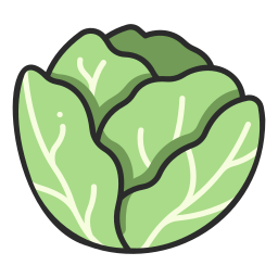 Cabbage icon