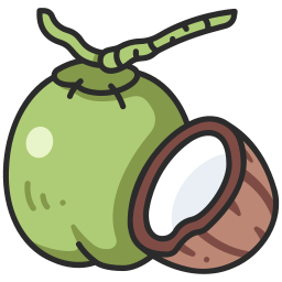 Coconut icon