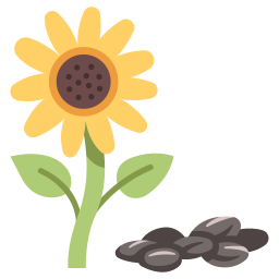 Sunflower icon