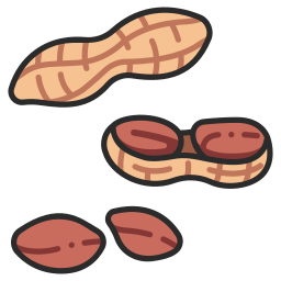 Peanut icon