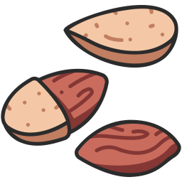 Almond icon