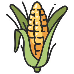 Corn icon