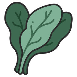 Spinach icon