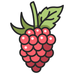 Raspberry icon