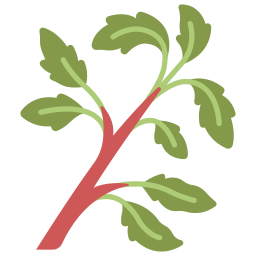 Basil icon