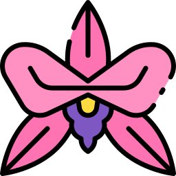 orchidee icon