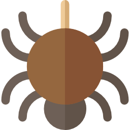 spinne icon