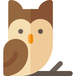 Owl icon