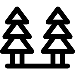 Pine tree icon