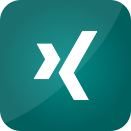 Xing icon