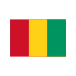 guinée Icône