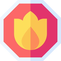 feuer icon